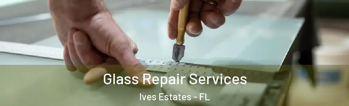  Glass Repair Services Ives Estates - FL